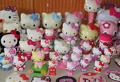 Kolekcionierės namuose &ndash; rekordinis kiekis kačių