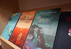 Sostinės Dzūkų biblioteka po renovacijos