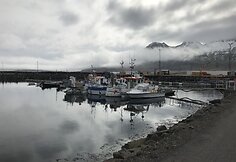 St&ouml;&eth;varfj&ouml;r&eth;ur žvejų kaimelis
