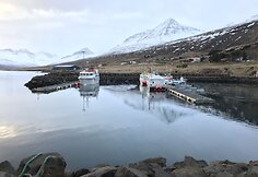 St&ouml;&eth;varfj&ouml;r&eth;ur žvejų kaimelis
