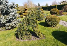 Laimos ir Algirdo Ratkelių kiemas