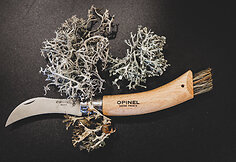&bdquo;Opinel&ldquo; grybautojo peiliukas