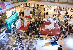 &bdquo;L`Or&eacute;al Professionnel Baltic Bridal Fashion Show&ldquo; nuotakos stiliaus performansas
