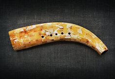 Gintarinis ragas
