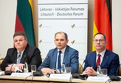 Linas Linkevičius, Nerijus Aleksiejūnas, Žygimantas Pavilionis