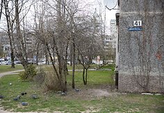 Daugiabutis Architektų gatvėje