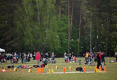 Festivalis „PaVINGiuojam“ Vingio parke