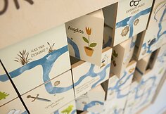 Veisiejų regioninio parko lankytojų centro ekspozicija