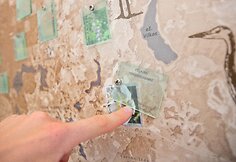Veisiejų regioninio parko lankytojų centro ekspozicija