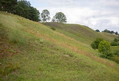 Žagarės ozas