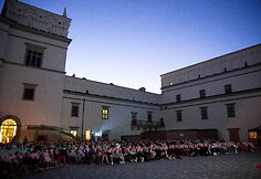Filmo &bdquo;Medaus &scaron;alis&ldquo; peržiūra Valdovų rūmų kiemelyje