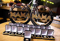 M.A.M.A nominantų paskelbimas 