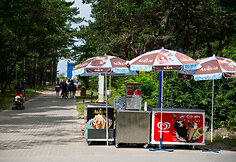 Ledų prekyba Palangoje