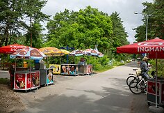 Ledų prekyba Palangoje