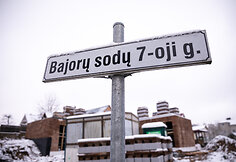 Bajorų sodų 7-oji gatvė