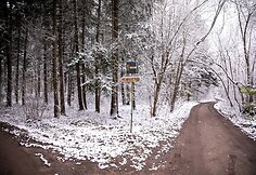 Visorių sodų 23-oji gatvė