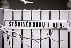 &Scaron;e&scaron;kinės sodų 1-oji gatvė