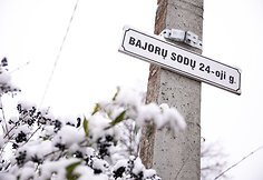 Bajorų sodų 24-oji gatvė