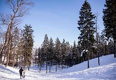 Strielčiukų žygtakis aplink Rokanti&scaron;kių piliakalnį