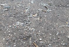 Plastiku užterštas vanduo ir jo sąnašos iš AB „Plasta“ teritorijos