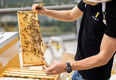 Urbanbee.lt įkūrėjas Paulius Chockevičius