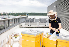 Urbanbee.lt įkūrėjas Paulius Chockevičius