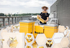 Urbanbee.lt įkūrėjas Paulius Chockevičius