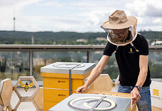 Urbanbee.lt įkūrėjas Paulius Chockevičius