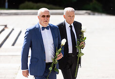 Juozas Olekas, Vytenis Povilas Andriukaitis