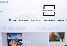 Internetinis puslapis Paveikslai.lt