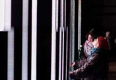Vilniaus &scaron;viesų festivalis