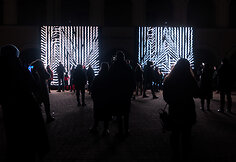 Vilniaus &scaron;viesų festivalis