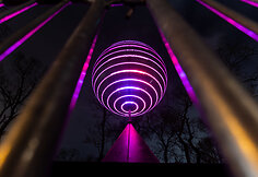 Vilniaus &scaron;viesų festivalis