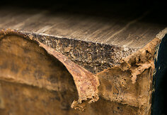 Taip trijų &scaron;imtų metų amžiaus dokumentas atrodo dabar.