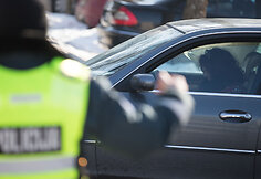 Daivos Tamošiūnaitės automobilis