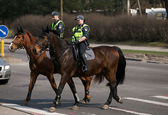 Raitoji policija