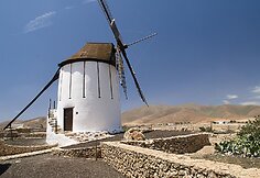 Vėjas išnaudojamas ir malūnų sparnams
