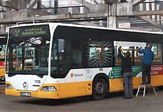 Šiauliuose – Lietuvos partizanų nuotraukomis ir citatomis papuošti autobusai