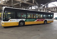 Šiauliuose – Lietuvos partizanų nuotraukomis ir citatomis papuošti autobusai