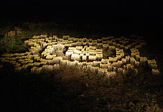 &bdquo;Ketvirtainis&ldquo;, 2014 m.