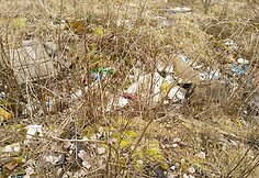 Sklypas buvusiame garažų masyve, kurį gyventojas pasirinko pagal nuosavybės teisių atkūrimą