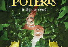 Haris Poteris ir Ugnies taurė