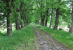 Senasis kelias į Schirwindt (&Scaron;irvintą)