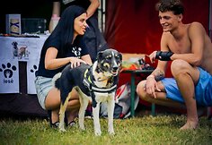 Festivalio pramogos