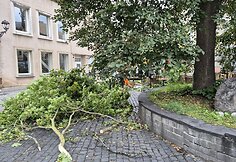 Stiprus vėjas Vilniuje varto daiktus