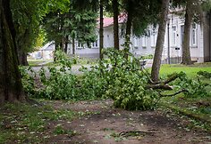Audros padariniai Sapiegų parke ir Antakalnio kapinėse