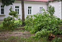 Audros padariniai Sapiegų parke ir Antakalnio kapinėse