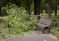 Audros padariniai Sapiegų parke ir Antakalnio kapinėse