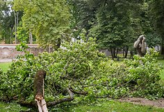 Audros padariniai Sapiegų parke ir Antakalnio kapinėse
