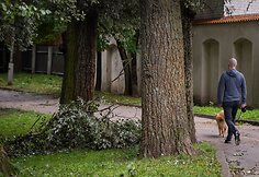 Audros padariniai Sapiegų parke ir Antakalnio kapinėse